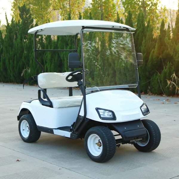 Golf Carts Electric Golf Carts