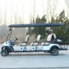 D6+2zhutu-1 electric golf cart