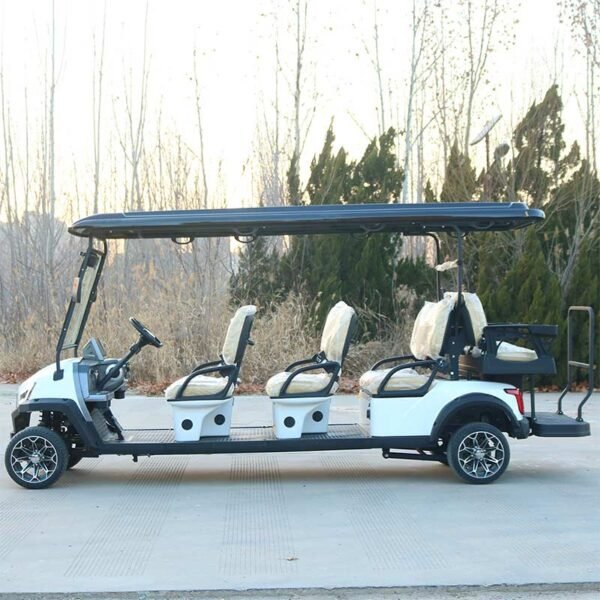 D6+2zhutu-1 electric golf cart