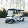 D6+2zhutu-2 electric golf cart