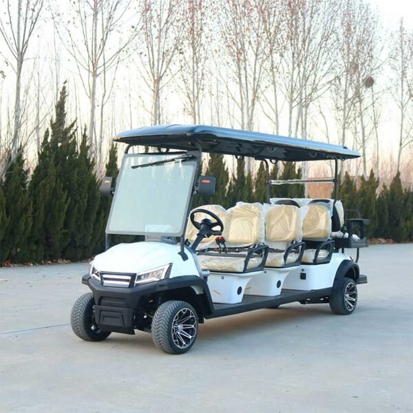 D6+2zhutu-2 electric golf cart