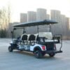 D6+2zhutu-3 electric golf cart