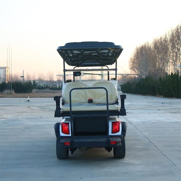 D6+2zhutu-4 electric golf cart