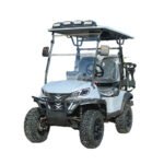 XINZHUTU-1 electric golf cart