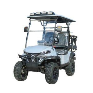 XINZHUTU-1 electric golf cart