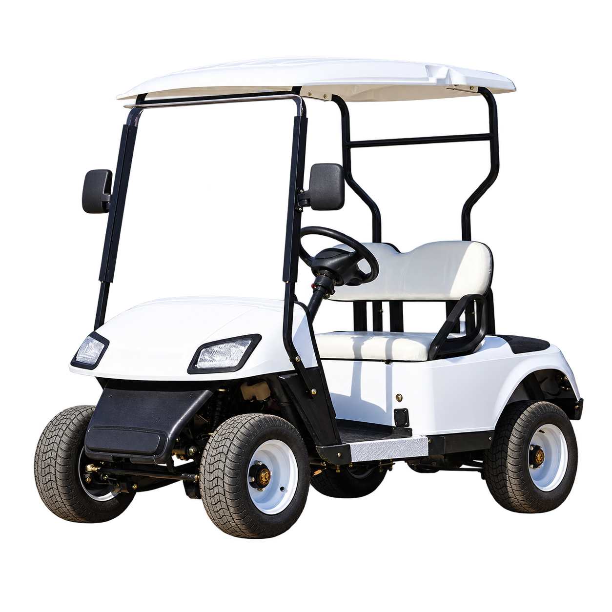 MV-A2 Electric Golf Cart